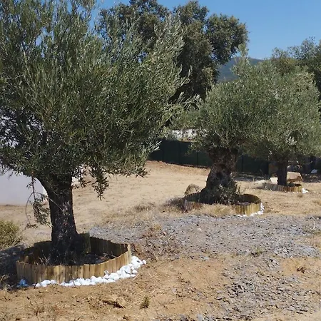 Isula Contemporaine Villa *